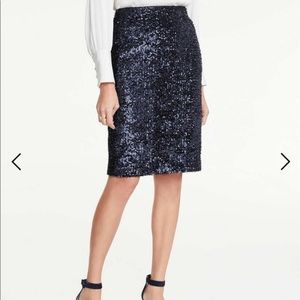 Ann Taylor sequin skirt